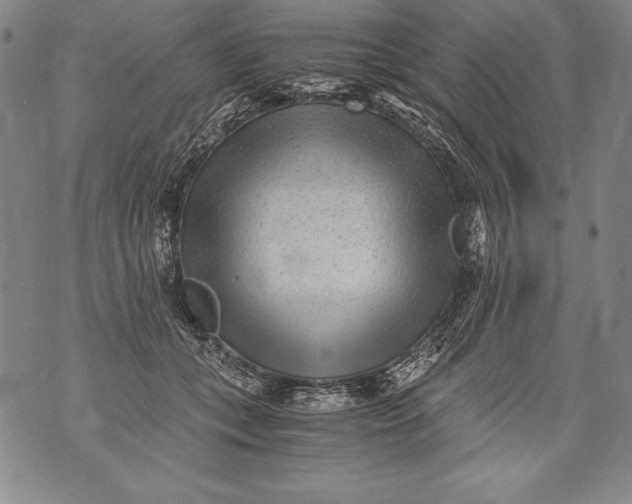 X0000076090559200610152321