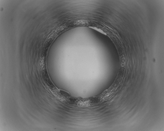 X0000076090560200610152321