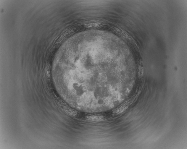 X0000076090561200610152321