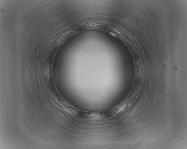 X0000076090562200610152321