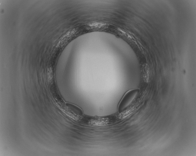 X0000076090563200610152321