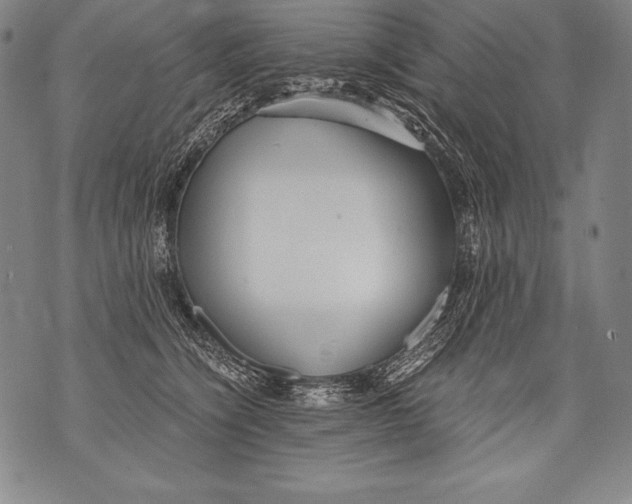 X0000076090564200610152321