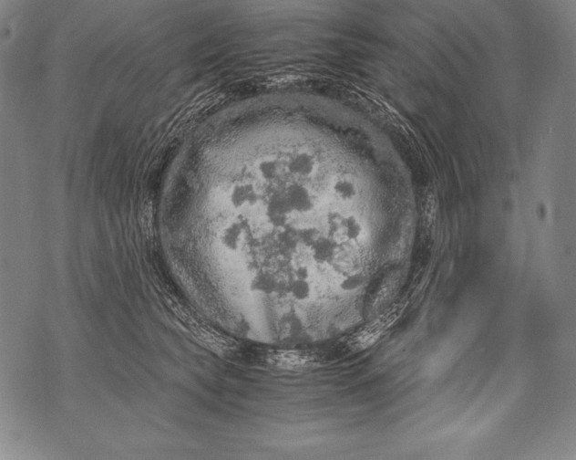 X0000076090565200610152321