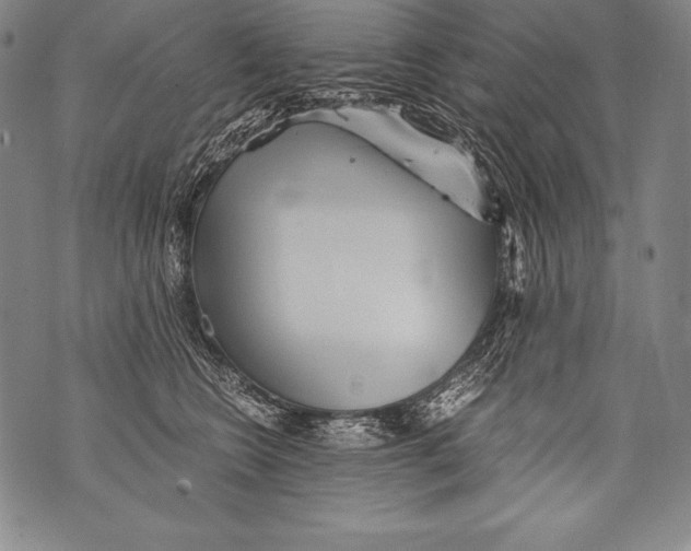 X0000076090566200610152321