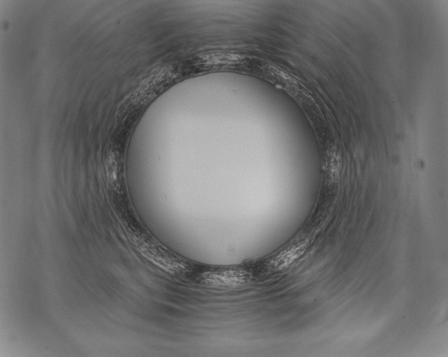 X0000076090567200610152321