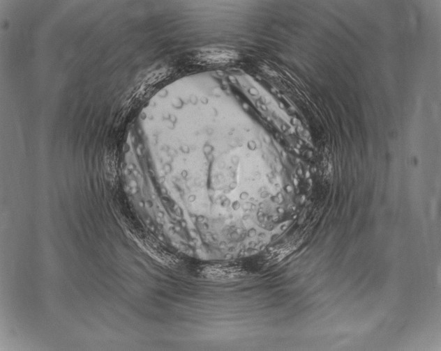 X0000076090568200610152321