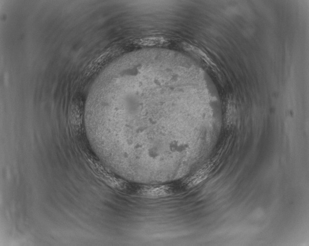 X0000076090569200610152321