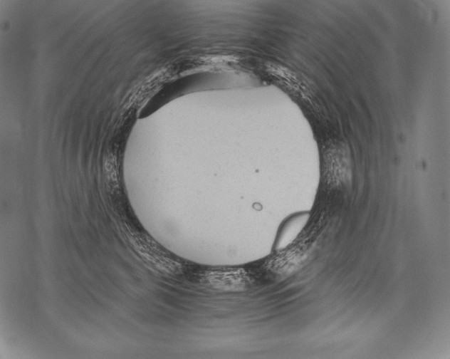 X0000076090571200610152321