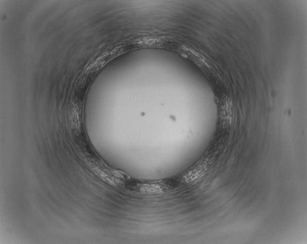 X0000076090572200610152321