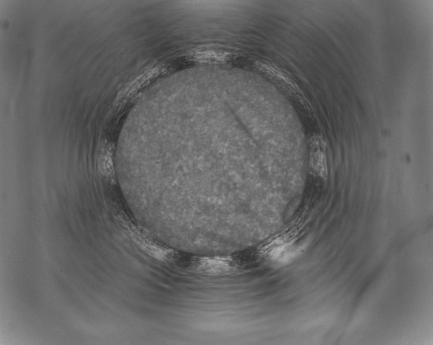 X0000076090573200610152321