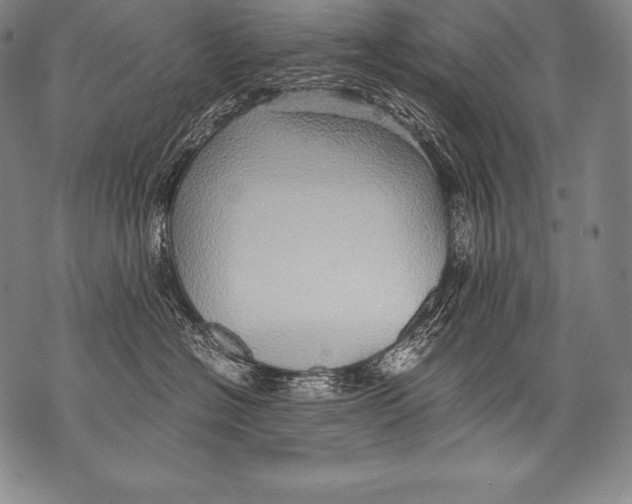 X0000076090574200610152321