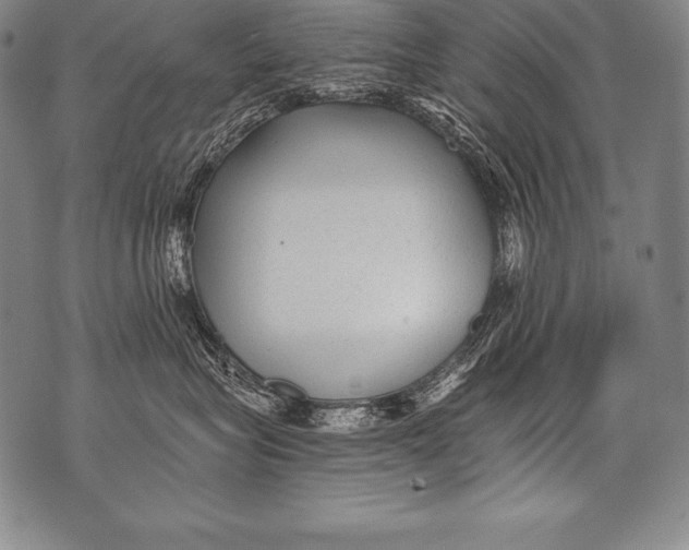 X0000076090575200610152321