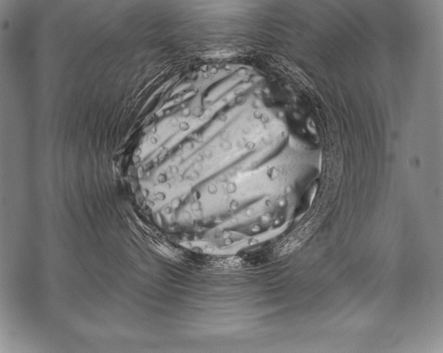 X0000076090576200610152321