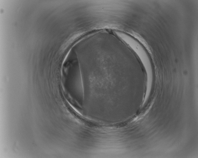 X0000076090577200610152321