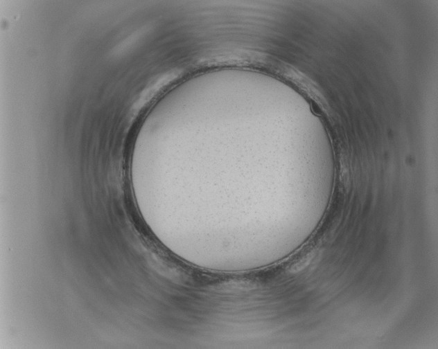 X0000076090578200610152321