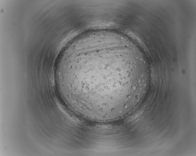 X0000076090582200610152320