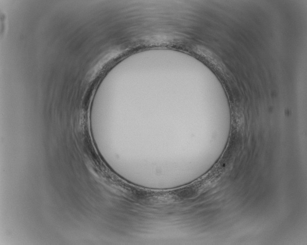 X0000076090583200610152320