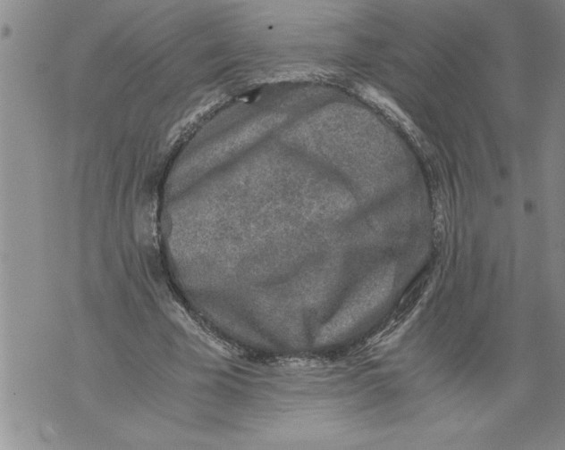 X0000076090585200610152320