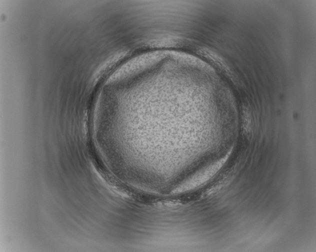 X0000076090586200610152320