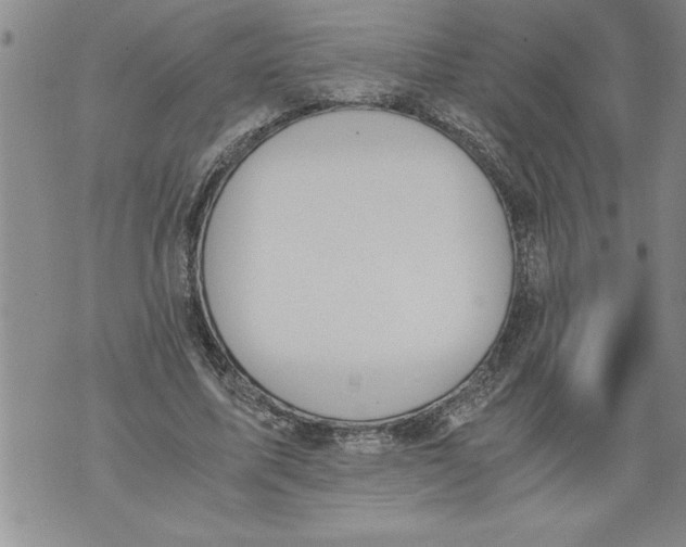 X0000076090587200610152320