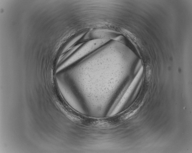 X0000076090589200610152320