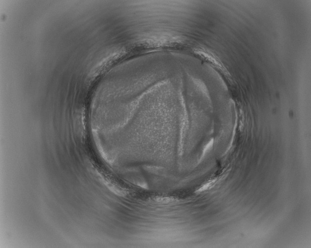 X0000076090590200610152320