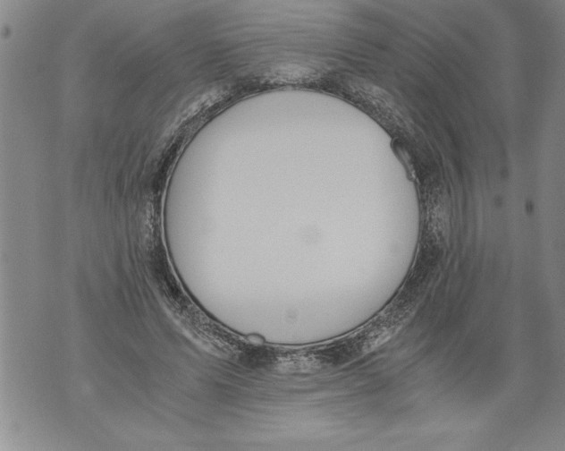 X0000076090591200610152320