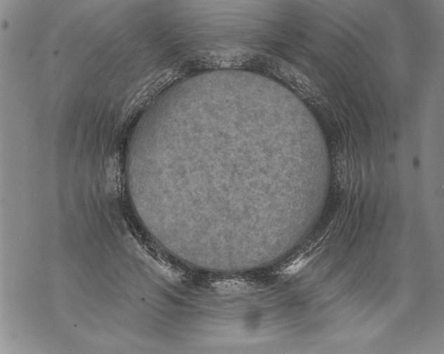 X0000076090594200610152320