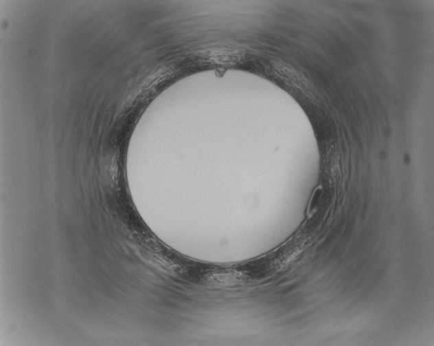 X0000076090595200610152320