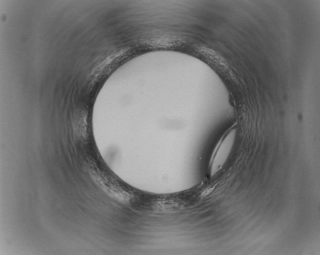 X0000076090596200610152320