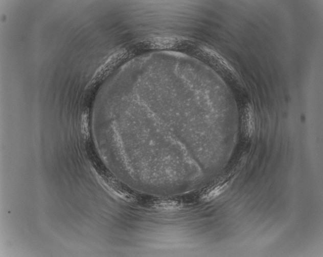 X0000076090598200610152320