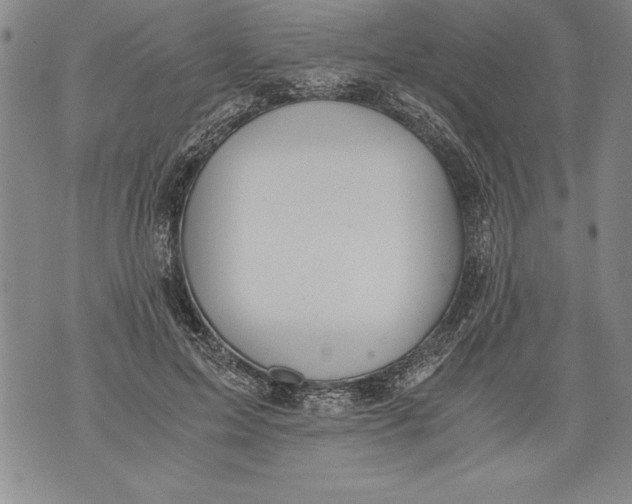 X0000076090599200610152320