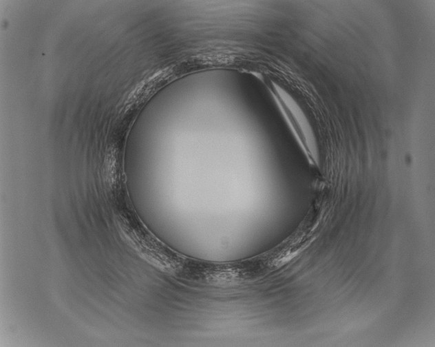 X0000076090600200610152320