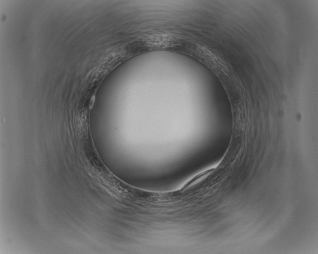 X0000076090601200610152320