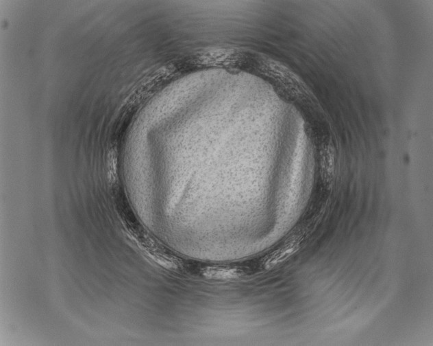 X0000076090602200610152320