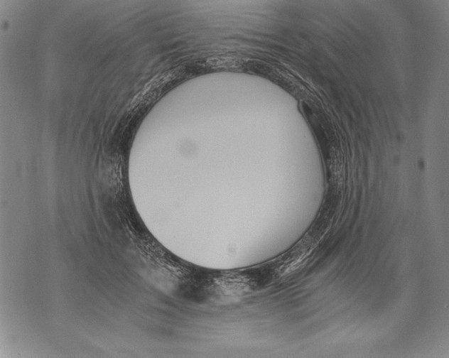 X0000076090603200610152320