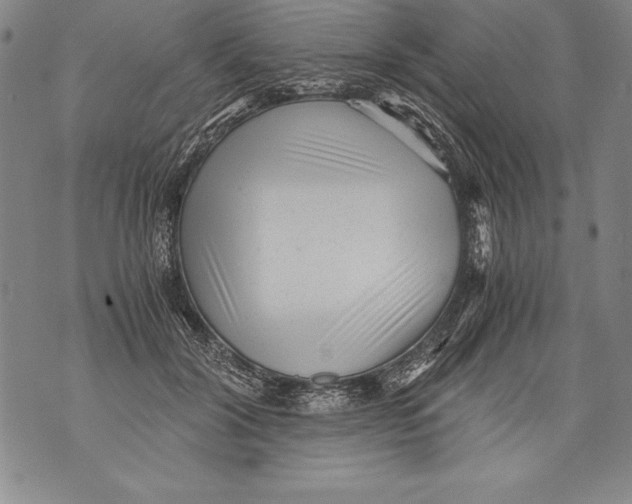 X0000076090604200610152320