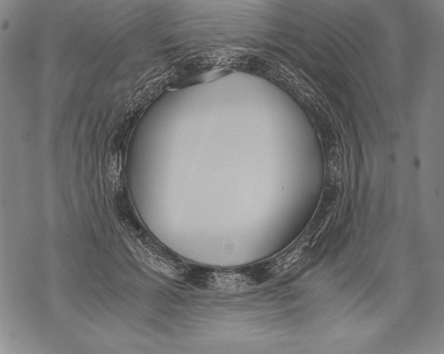 X0000076090605200610152320