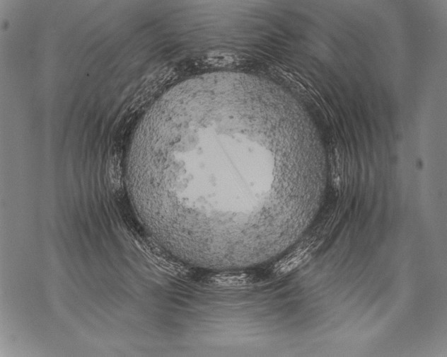 X0000076090606200610152320