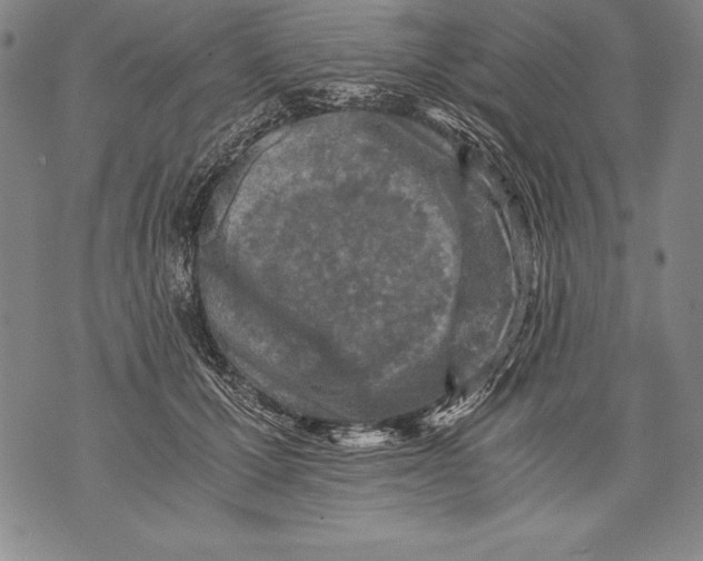 X0000076090607200610152320