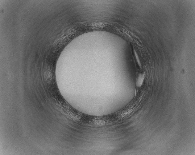 X0000076090608200610152320