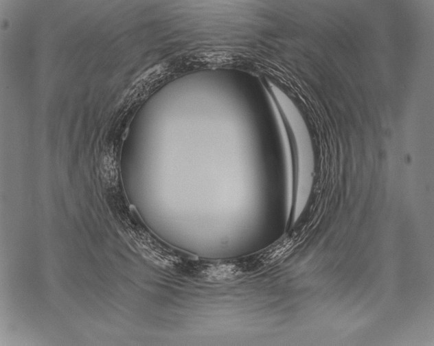 X0000076090609200610152320