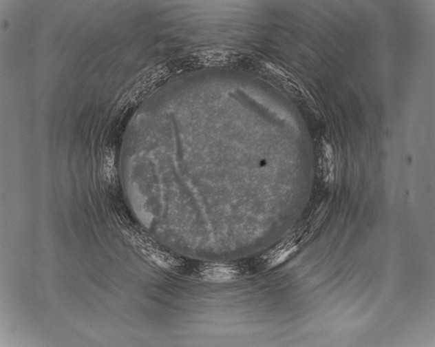 X0000076090610200610152320