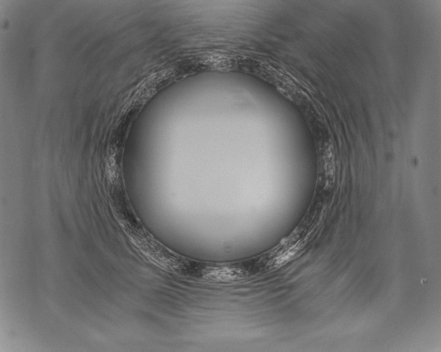 X0000076090611200610152320