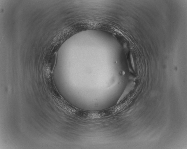 X0000076090613200610152320