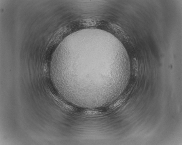 X0000076090614200610152320