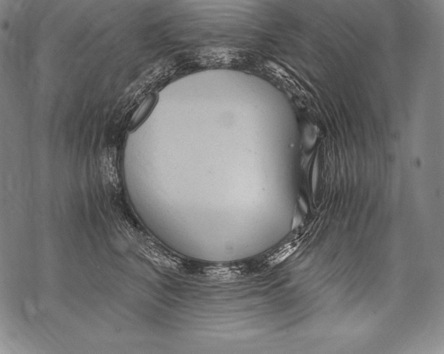 X0000076090616200610152320