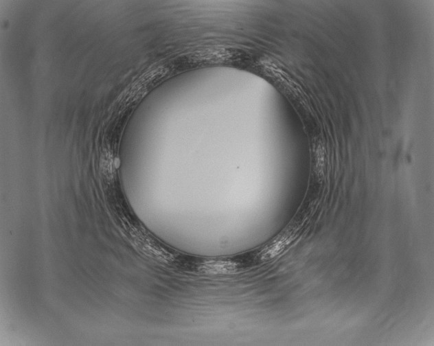 X0000076090617200610152320