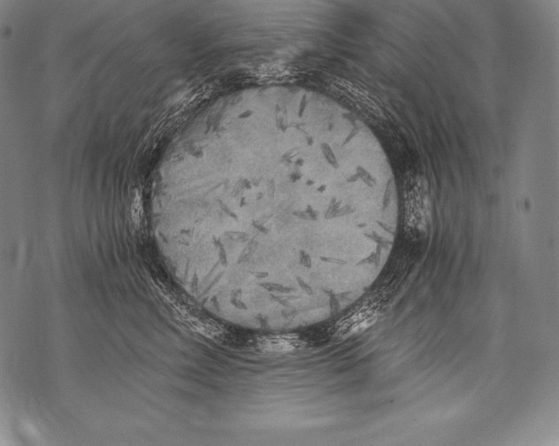 X0000076090618200610152320