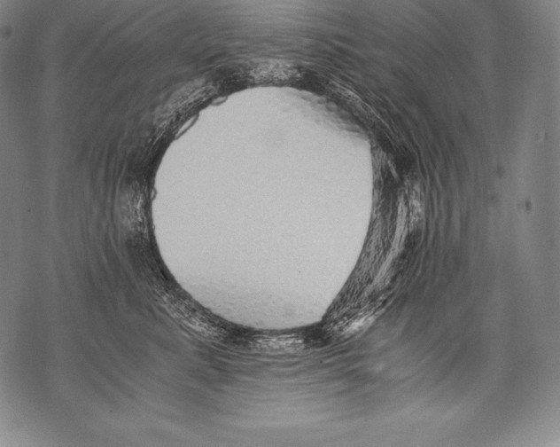 X0000076090619200610152320